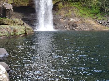 Randonnée Marche Bras-Panon - Bassin La mer Bassin des Aigrettes depuis le parc de la rivière du Mât - Photo