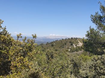 Excursión Senderismo Simiane-Collongue - Le pilon du Roy par Simiane - Photo