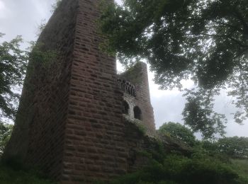 Excursión Senderismo Heiligenstein - 2021-05-23-Moulin d' Eschwiller - Photo