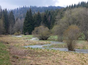 Tour Zu Fuß Mouthe - Les Roches - Photo