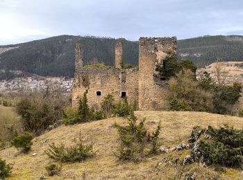 Trail Walking Saint-Bauzile - Rouffiac/la Truffière/Montialoux - Photo