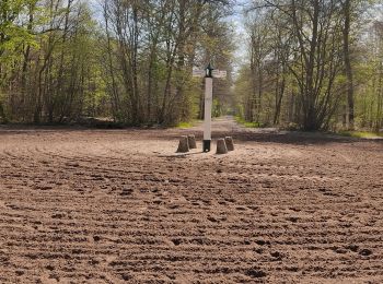 Trail Walking Avilly-Saint-Léonard - randonnée en forêt de chantilly - Photo