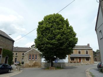 Excursión A pie Anthisnes - AS06 Boucle des Sarts - Photo