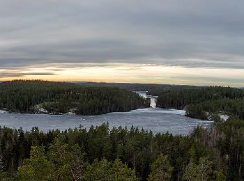 Excursión A pie Kouvola - Korpinkierros - Photo