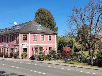 Tour Zu Fuß Bad Waltersdorf - Keltischer-Baumkreis-Weg (W6) - Photo