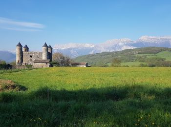 Tocht Mountainbike Seyssins - Haute jarrie - Bois de Bouchassey - Saut du Moine - Photo