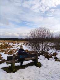 Tocht Stappen Waimes - La fagne de Sourbrodt   - Photo