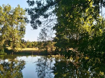 Tour Wandern Sciecq - Sciecq (vallée de Périgny) - Photo