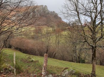 Randonnée Marche Mandailles-Saint-Julien - Roches folles - Photo