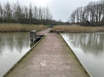 Excursión Senderismo Cortrique - Marke Kortrijk 15km groene gordel - Photo