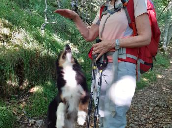 Tocht Stappen Piégros-la-Clastre - st medard 23 aout - Photo