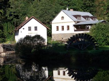 Percorso A piedi Malšice - [Z] Dražičky - Matoušovský mlýn - Photo