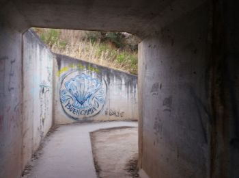 Randonnée Marche Viana - Logroño - Photo