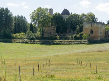 Randonnée Marche Saint-Cyprien - Boucle de l'Ermite à Saint Cyprien en Dordogne - Photo