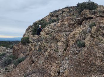 Tour Wandern Fréjus - Sortie du lundi 8 janvier aprés-midi - Photo