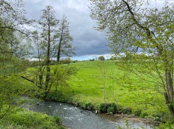 Trail Walking Chastre - Chastre hevillers - Photo