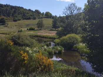 Tour Rennrad Rocles - Châteauneuf-de- randon - Photo