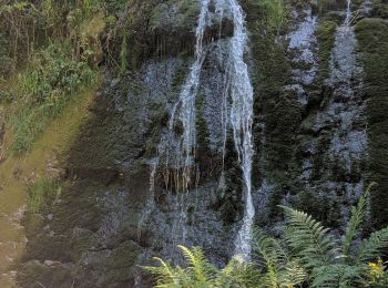 Tocht Stappen Vagney - Le Haut du Tôt - Photo