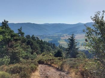 Trail Walking Alleyras - pourcheresse - Photo