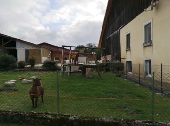 Excursión Senderismo Plaimbois-du-Miroir - Plaimbois du Miroir  - Photo