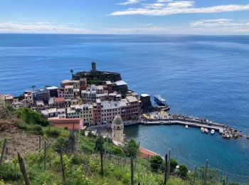 Tocht Stappen Monterosso al Mare - Monterosso - Vernezza - Photo