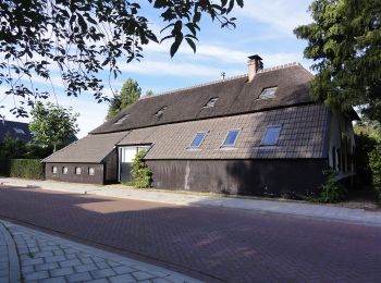 Randonnée A pied Wijchen - Wandelroute heerlijkheid Leur en Hernense Bos - Photo