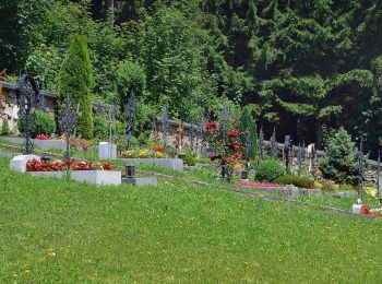 Tour Zu Fuß Kirchschlag bei Linz - Kirchschlag 6er - Photo