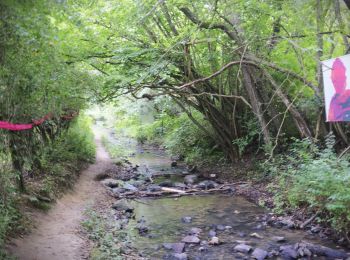 Trail Walking Marchin - Vyle-Tharoul - 12e Biennale de photographie en Condroz - Photo