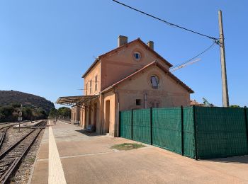 Percorso A piedi Santa-Reparata-di-Balagna - Reparata-Ile Rousse - Photo