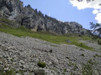 Tour Wandern Saint-Pierre-d'Entremont - Rando ANF - Le Petit Som (1772m) en boucle par le Col de Léchaud et le Col de Bovinant - Photo