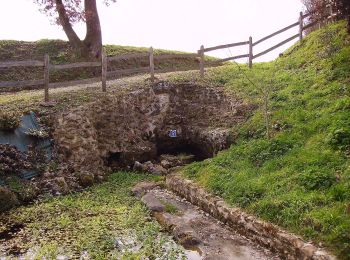 Excursión A pie Bourgnac - Boucle des 9 Fonts - Photo