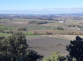 Randonnée Marche Villasavary - Tour du plateau de Cabrens par pech de Cabrens. - Photo