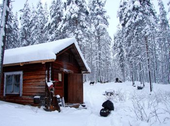 Randonnée A pied Suomussalmi - Kokalmuksen Kierros - Photo