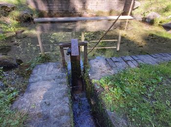 Tour Wandern Valorbiquet - St Cyr du Ronceray  - Photo