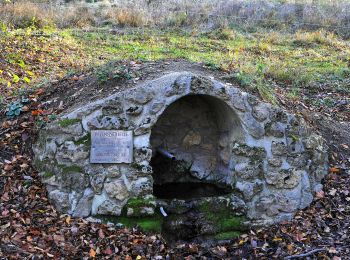 Percorso A piedi Gemeinde Kaltenleutgeben - Kaltenleutgeben - Ramaseck - Hochroterd - Photo