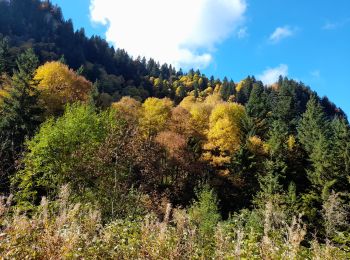 Excursión Senderismo La Roche-sur-Foron - sur cou... 