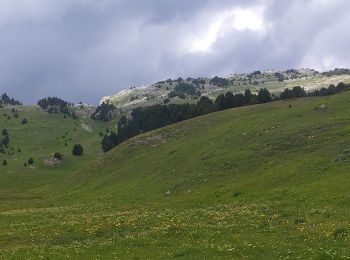 Tour Wandern Châtillon-en-Diois - la Montagnette par le Grand Pas - Photo