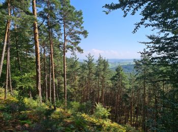 Tocht Stappen Rothbach - Lichtenberg - Photo