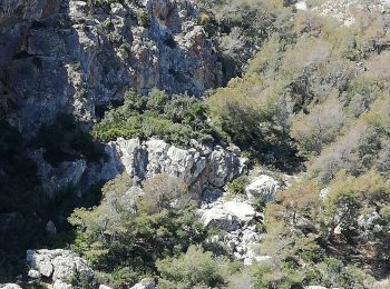 Trail Canoe - kayak Almuñécar - Cuevas Piratas y de Las Palomas - Photo