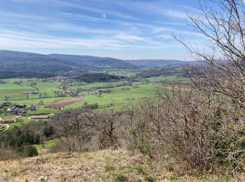 Trail Walking Montfleur - Boucle à pont des vents - Photo