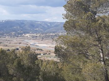 Excursión Senderismo La Roque-d'Anthéron - Chaîne des Côtes La Roque d'Anthéron - Photo