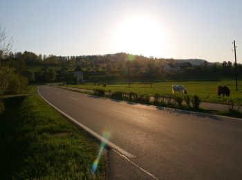 Tocht Te voet Bermatingen - Rundweg A2 - Photo