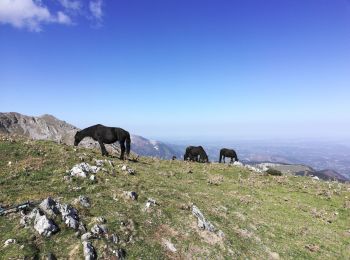 Tocht Stappen Beyrède-Jumet-Camous - signal de Bassia, Plo de Berdaoulou - Photo