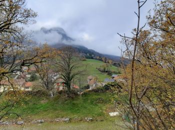 Tour Wandern Barraux - Traversée Barraux - lac de St-André - Photo