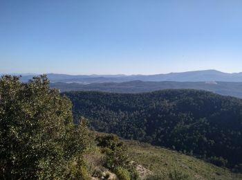 Excursión Senderismo Le Val - Le Cuit - Photo