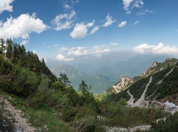 Percorso A piedi Valli del Pasubio - Val Fontana d'Oro - Photo