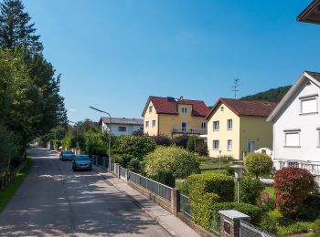 Trail On foot Gemeinde Mauerbach - 2 - Photo