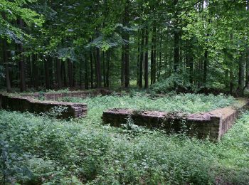 Excursión A pie Groß-Umstadt - Rundwanderweg Breuberg 1 : - Photo