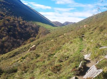 Excursión Senderismo Ségus - col du pré du roi par segus reconnu - Photo