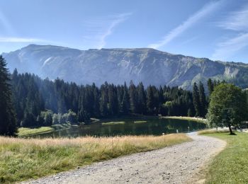 Tour Wandern Morzine - 74-Morzine-lac-mines-or-col-Coux-6.7km-515m - Photo